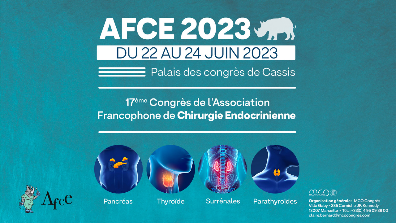 17ème Congrès de l’AFCE – Association Francophone de Chirurgie ...